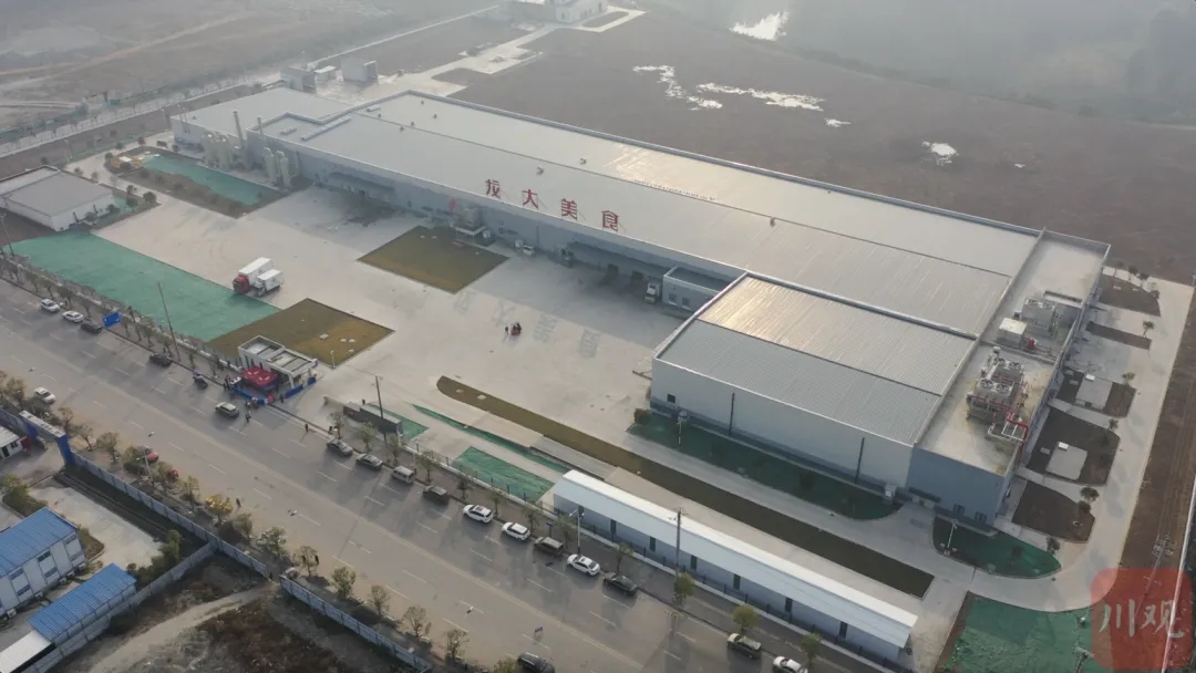 6406.webp.jpg 6406.webp.jpg